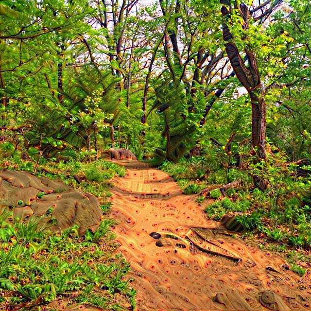 AL-LAD Forest. (oc)