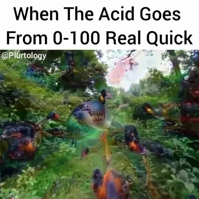 fits here