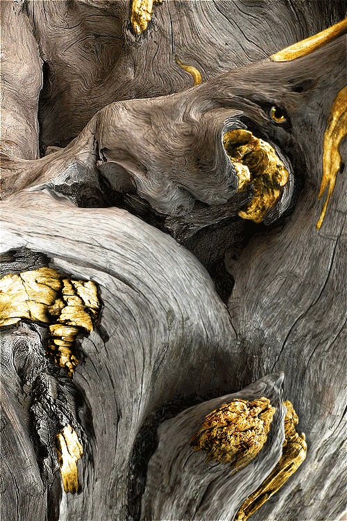 Golden Wood, Christophe Tritz (original photo by MFKopp), digital, 2020