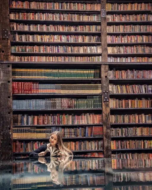 Gorakla at Stony Island Art Bank, animated by TheGlitch