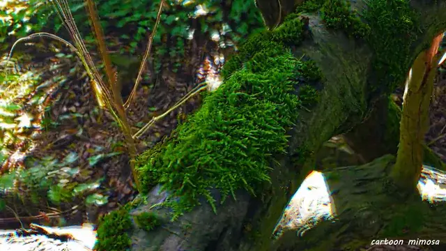 Tree go brrr (mushroom oev)