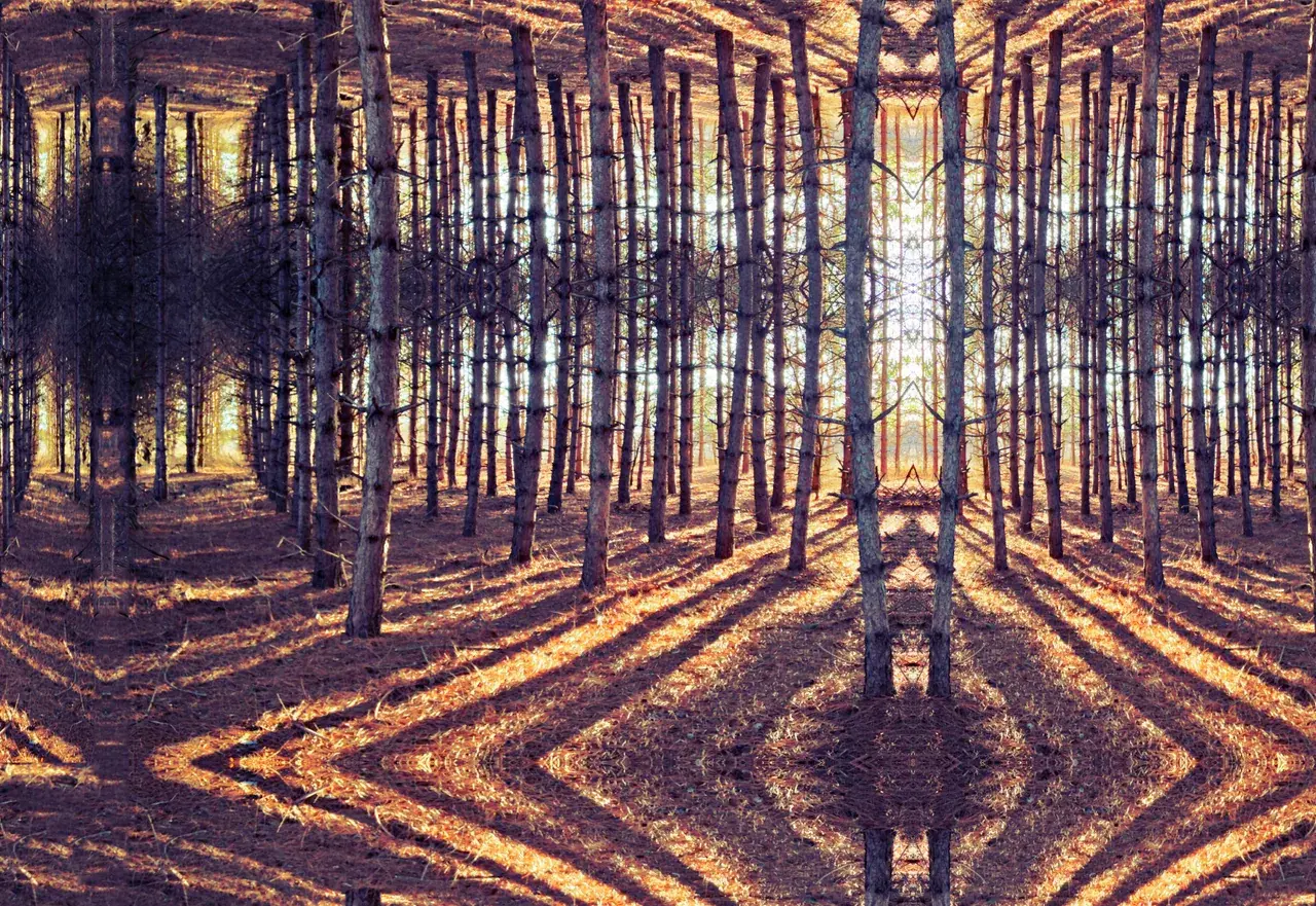 Inspired by 300 μg LSD, hope you enjoy!