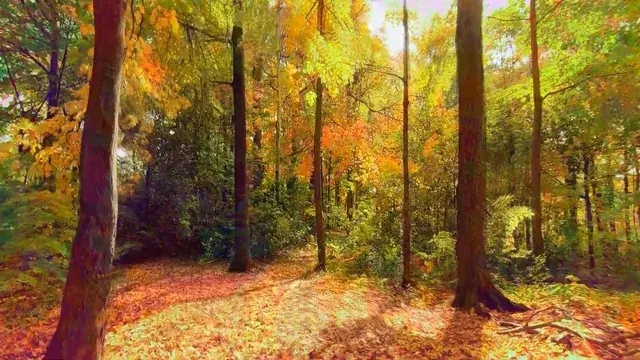 Breathe in the Air [Psychedelic  Replication]