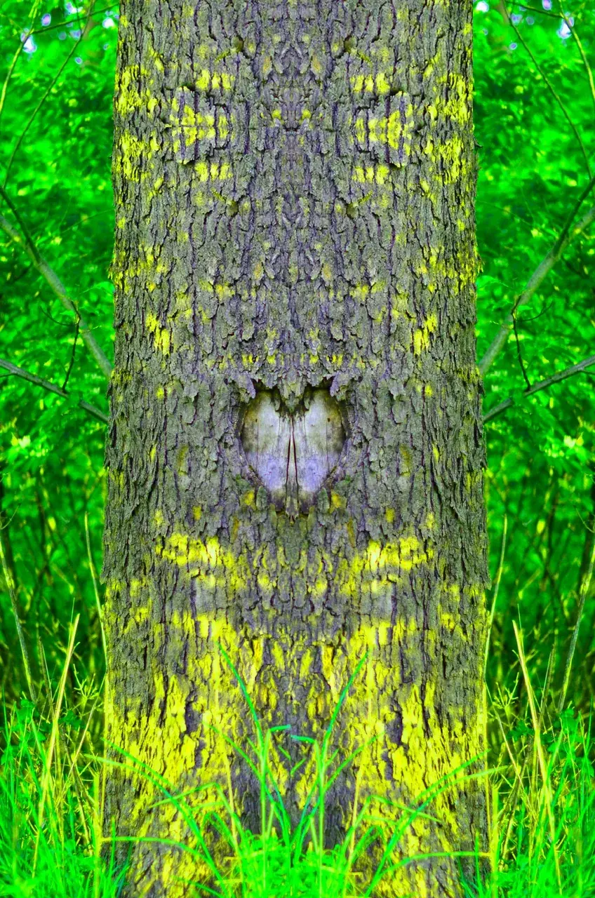 First attempt at Microsymmetry, hope you enjoy. Felíz Cinco de Mayo <3