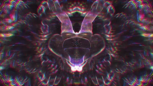 A very generous bug (DMT)
