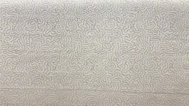 Trying not to lose my mind on a low dose at a wallpaper shop.