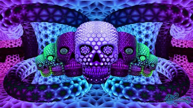 seven skulls