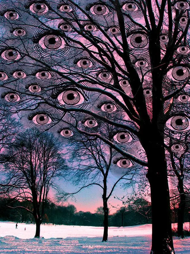 Winter Eyes by LARRY CARLSON