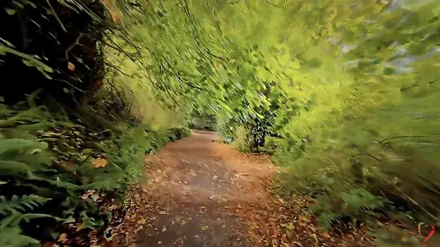 Pelopsia and Depth Perception Distortion ( LSD ) [ Focus on centre of video ]