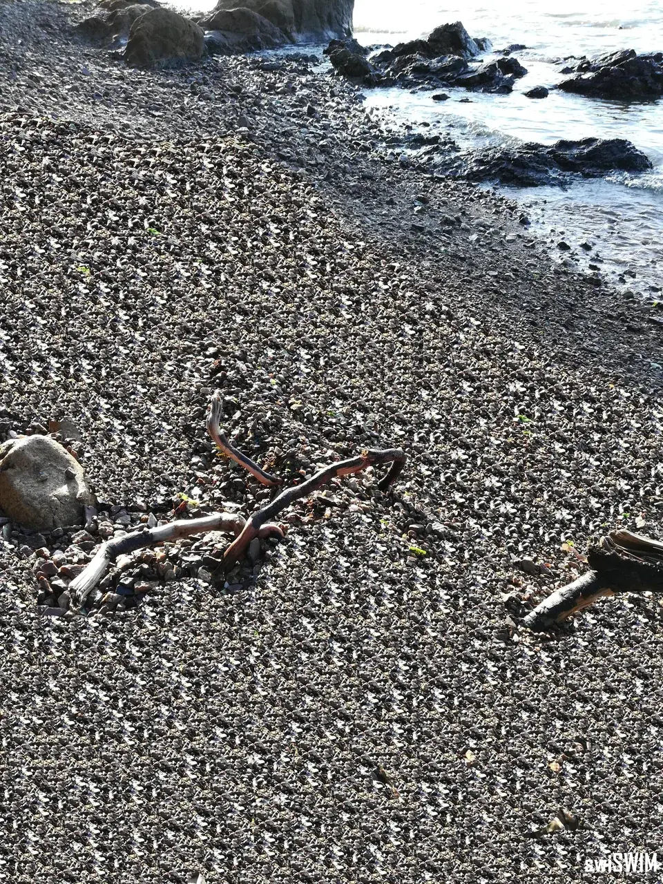 Pattern Repetition at the Beach