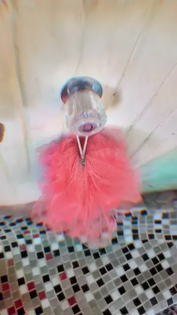 Found a new friend, on psychedelics