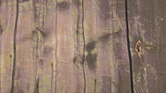 Psilocybin come up visuals