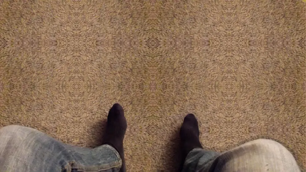 Shroom Carpet