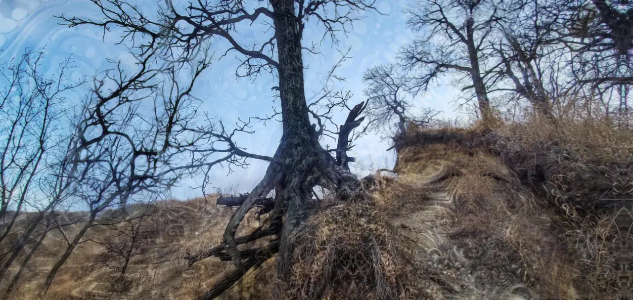 Hiraeth [OC] Psilocybin Visuals