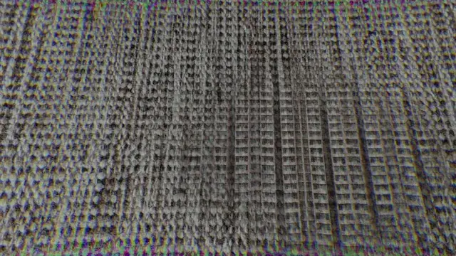 My Carpet turning into an Appartment Complex / P-LSD