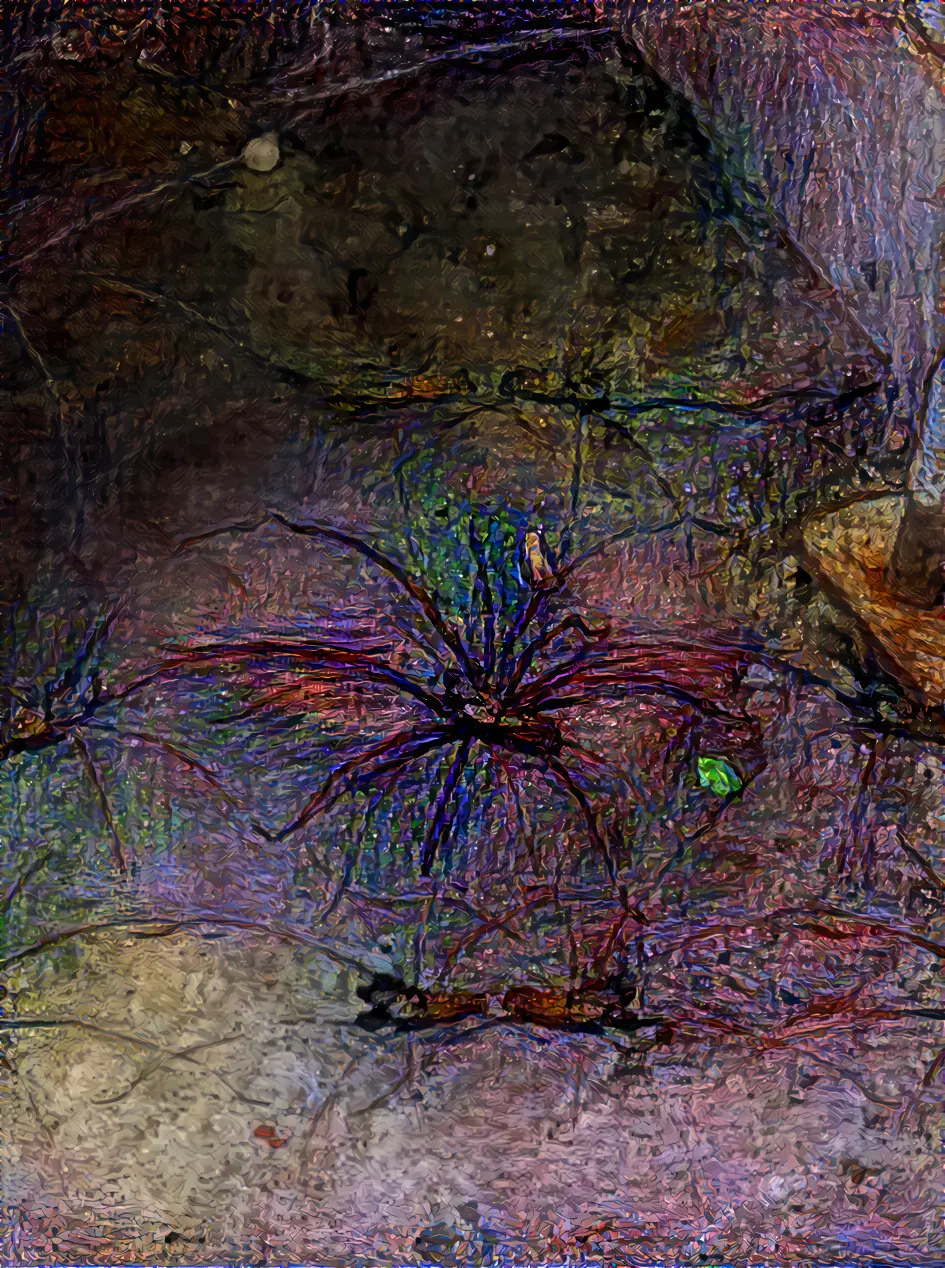 Oh shit what in the hell is that- (~300ug LSD)