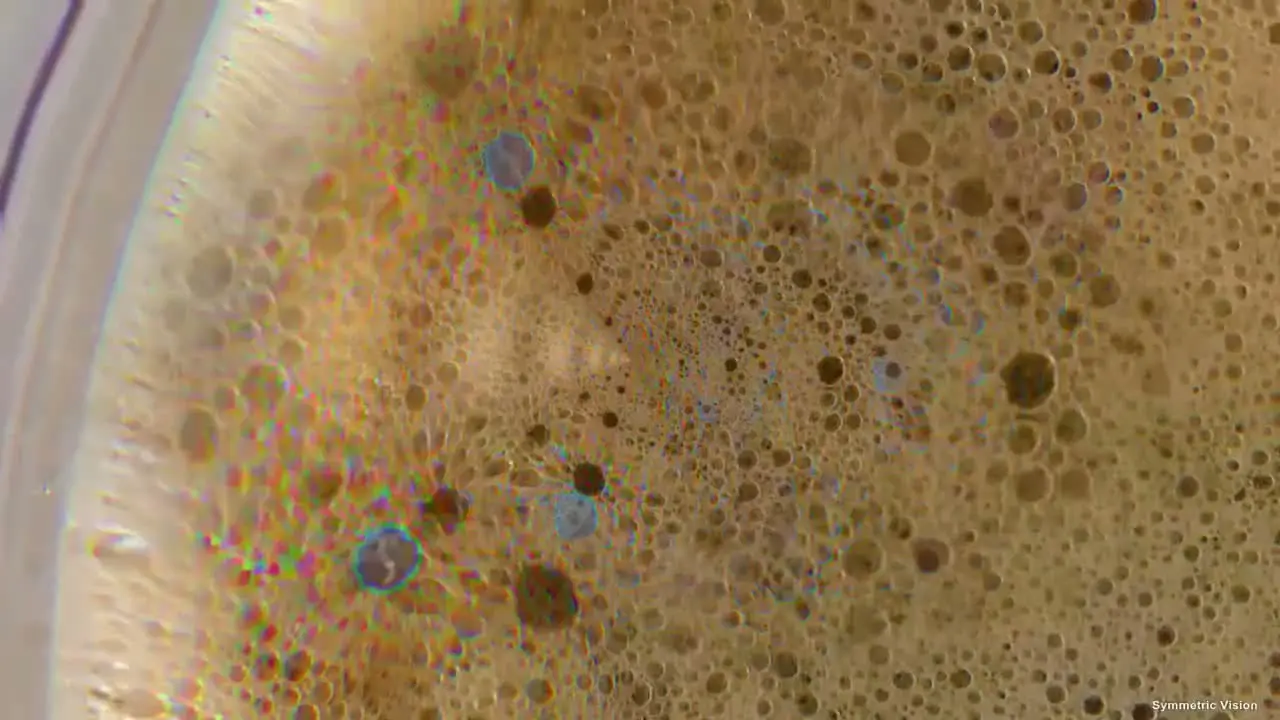 Coffee Foam Recursion