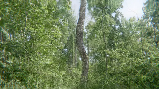 Wonky Tree V2