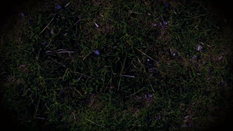 Grass on overwhelming Molly come-up