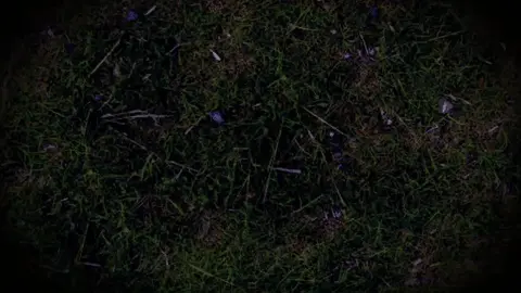 Grass on overwhelming Molly come-up