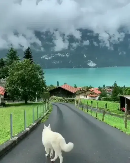 so many bright colors! thought this belonged here