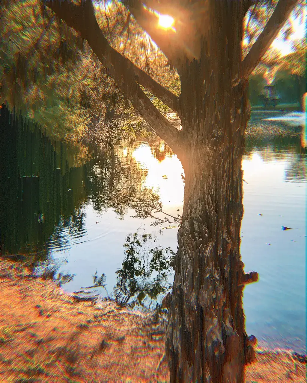 That cartoonish effect where objects become solid, flowing colors.