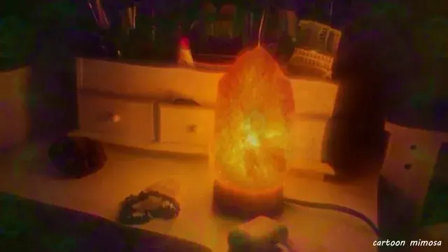 Dark mushroom visuals