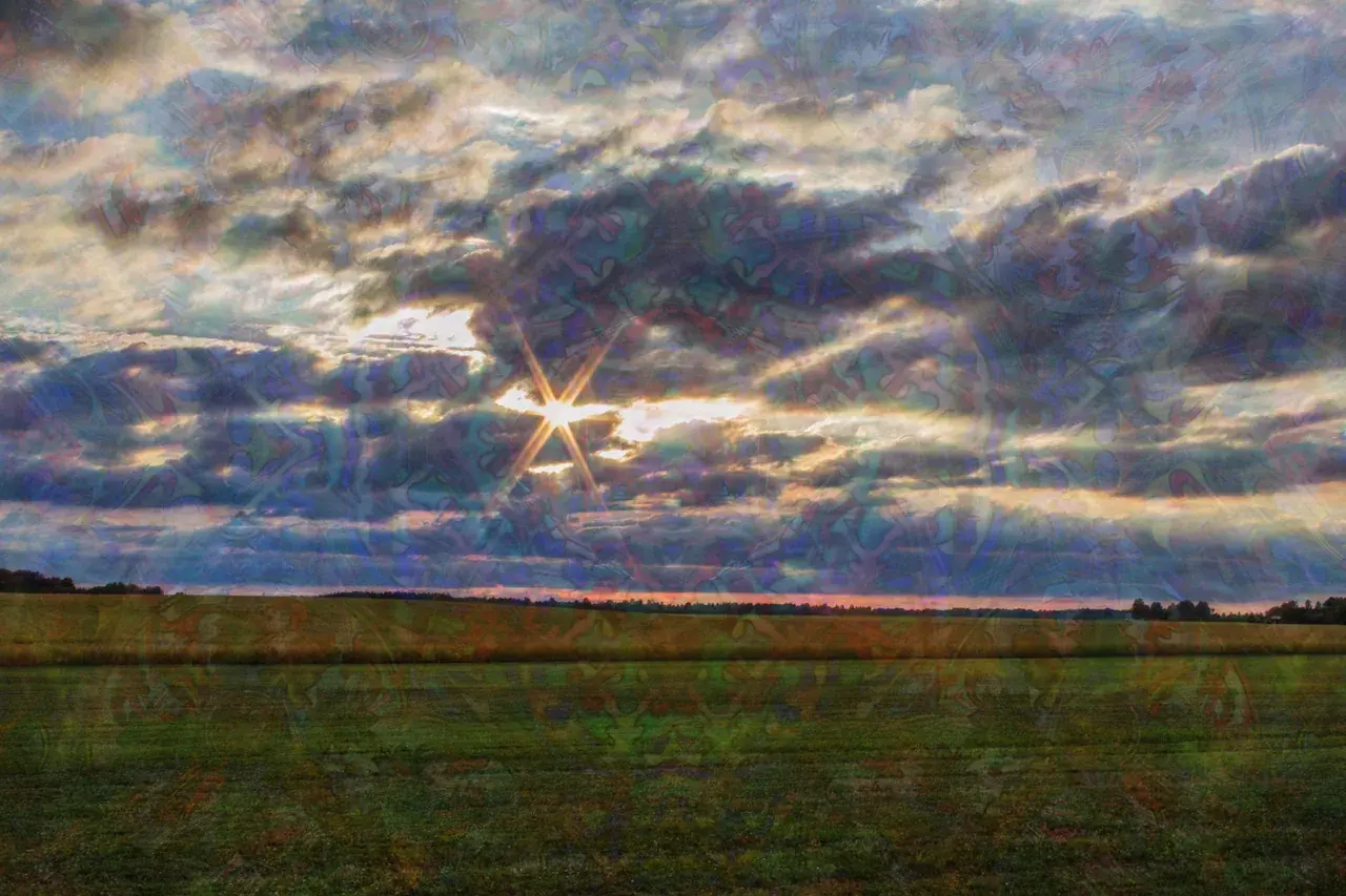 Step into the visual soundscapes, smooth piano and birds. almost threehundred
