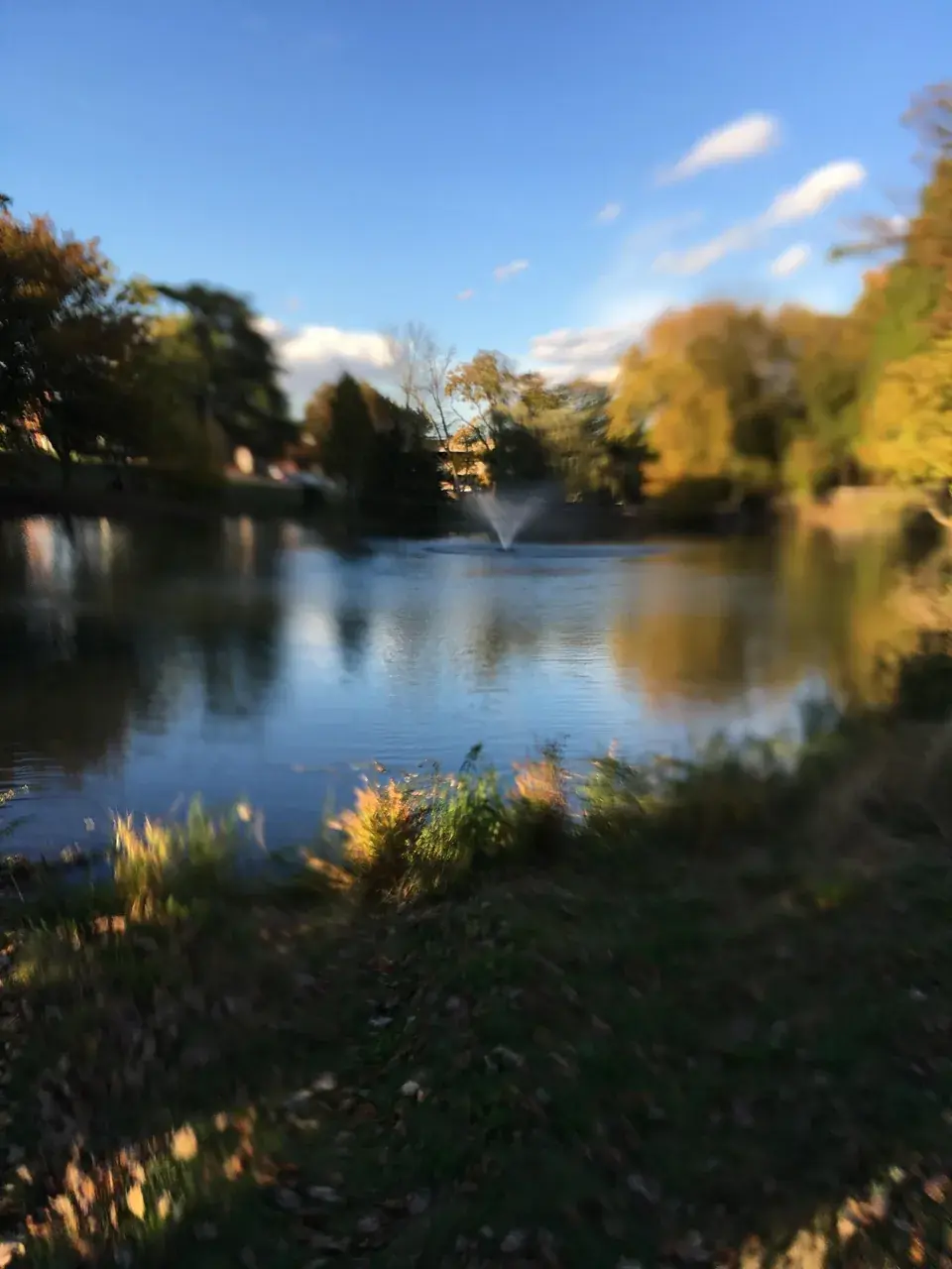 My camera is fucked which means it takes sick LSD pics