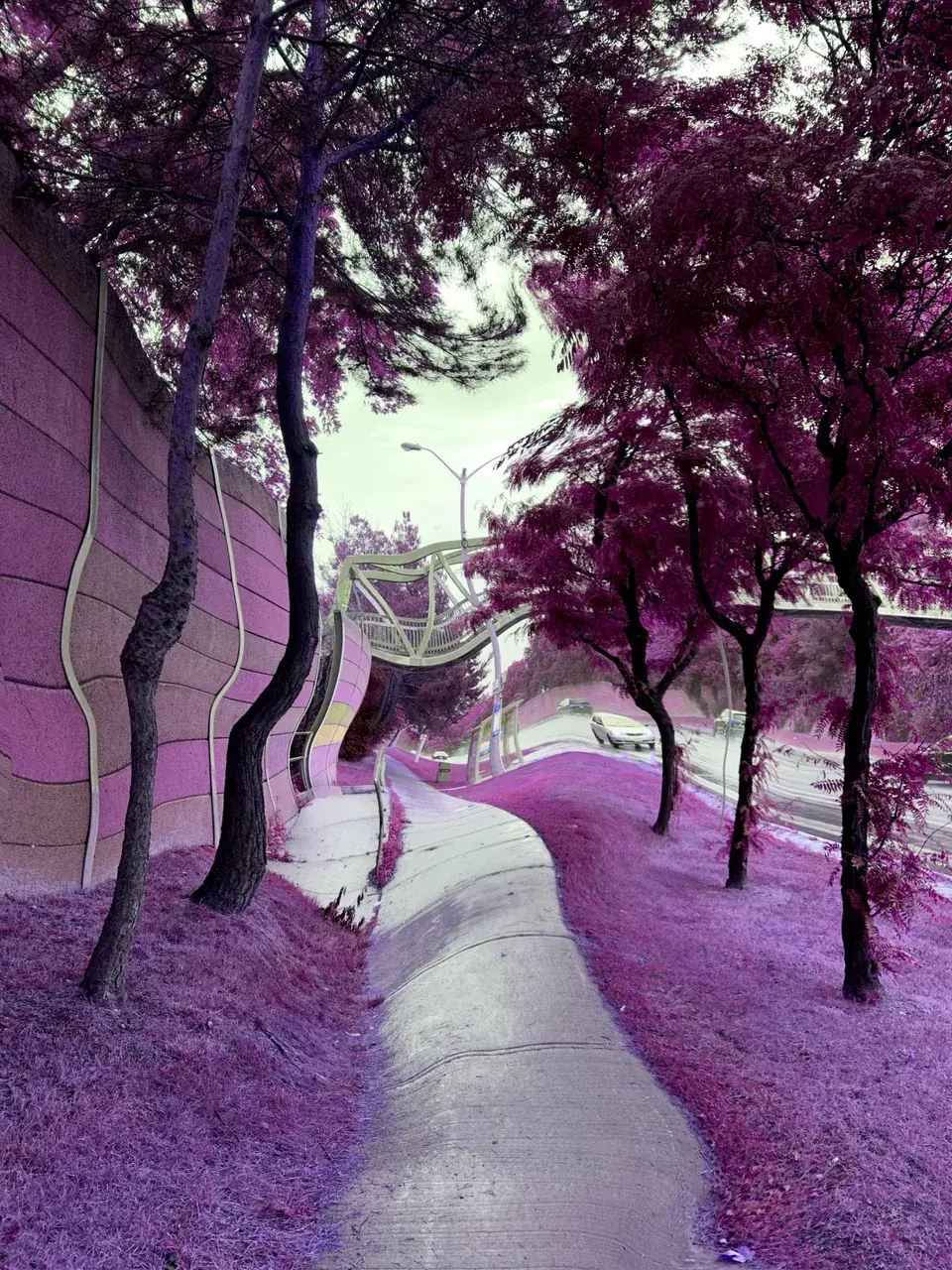 lsd 200ug visuals recreation