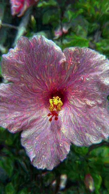 Brandi's Flower (June 19, 2022)