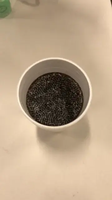 Trippin’ Liquid