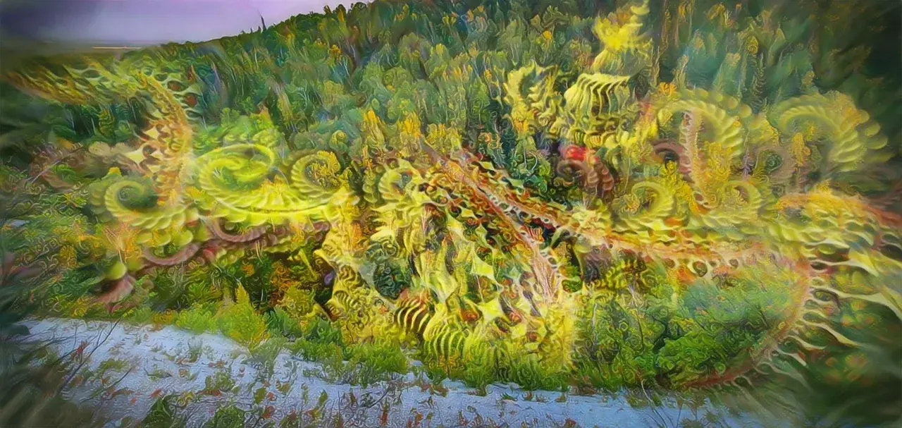 Morii [OC] LSD & Psilocybin Visuals