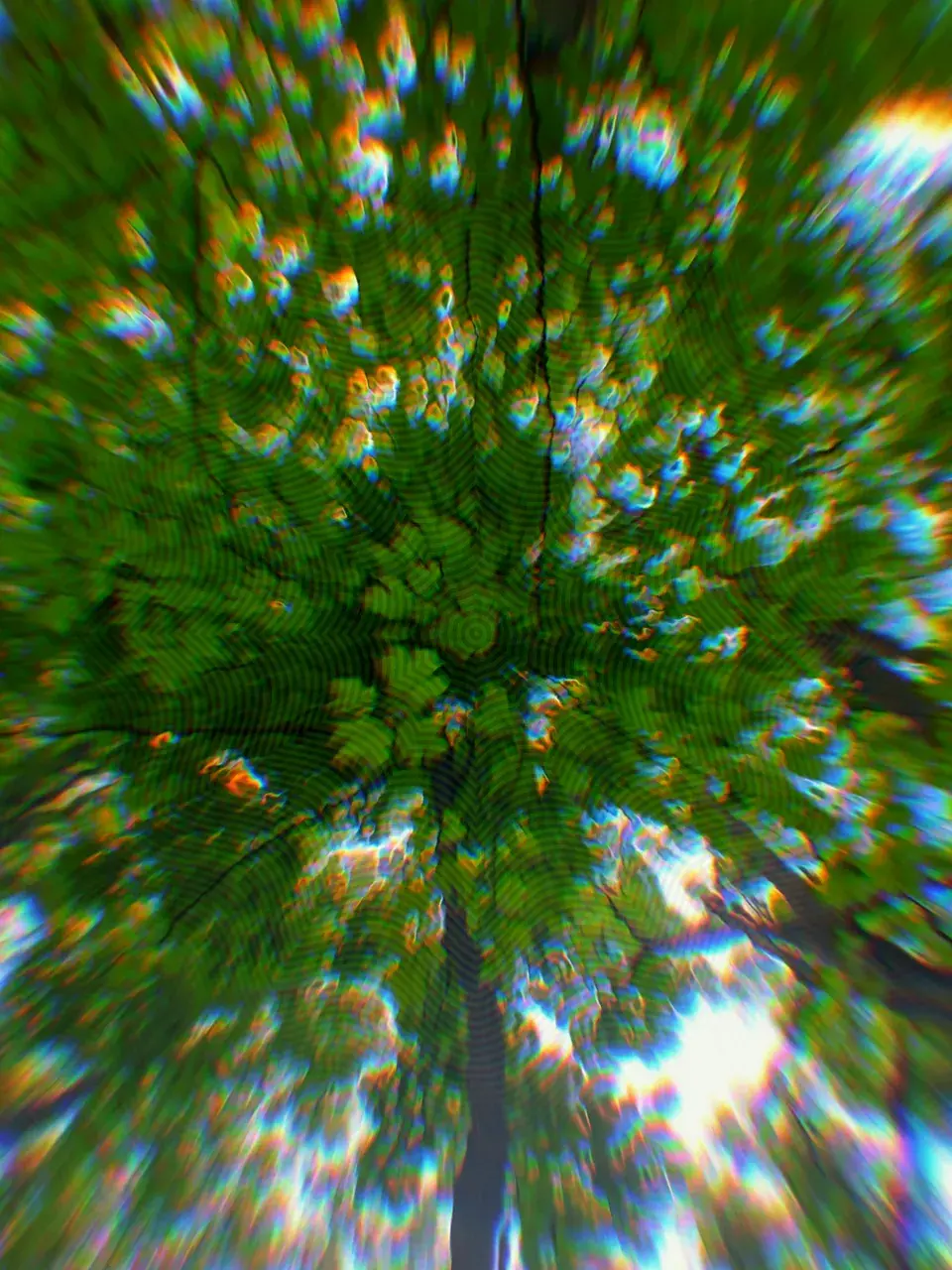 lsd+nitrous+weed in a hammock with my glasses off