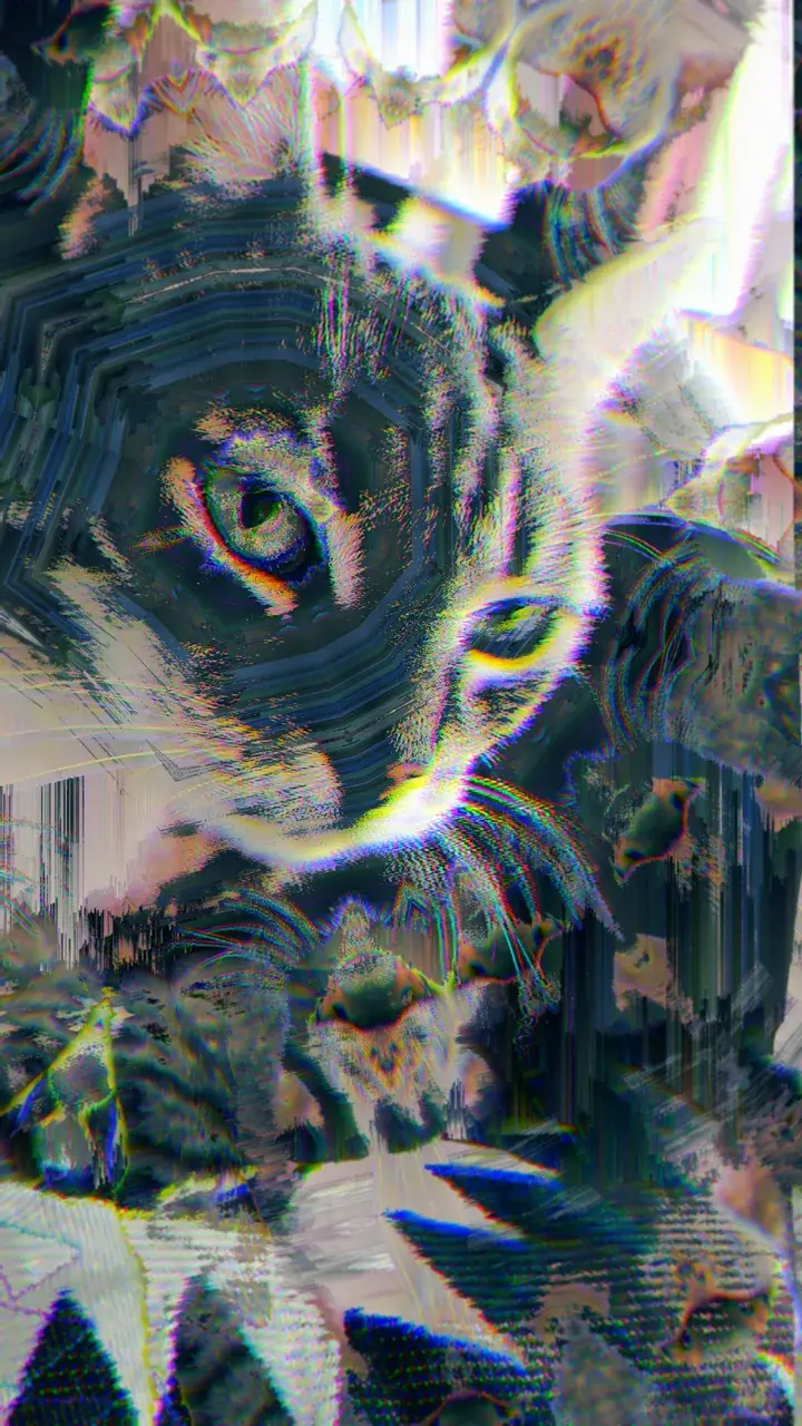 MAW theres a weird fuckin cat out here!
