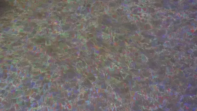 Too many shrooms (Visual experiment)