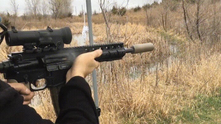 Gun on Acid (from r/WoahDude)