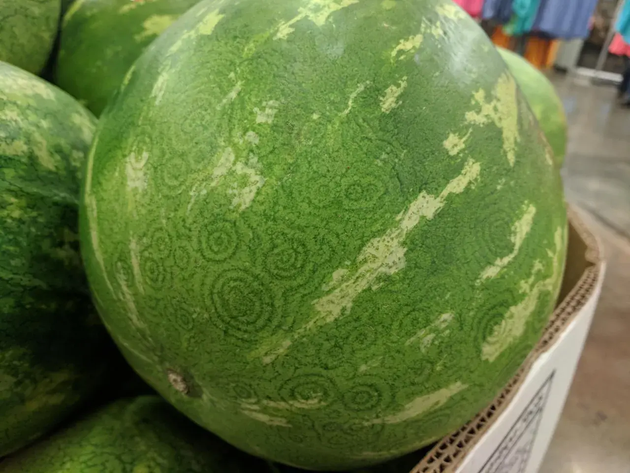 The pattern on this watermelon.