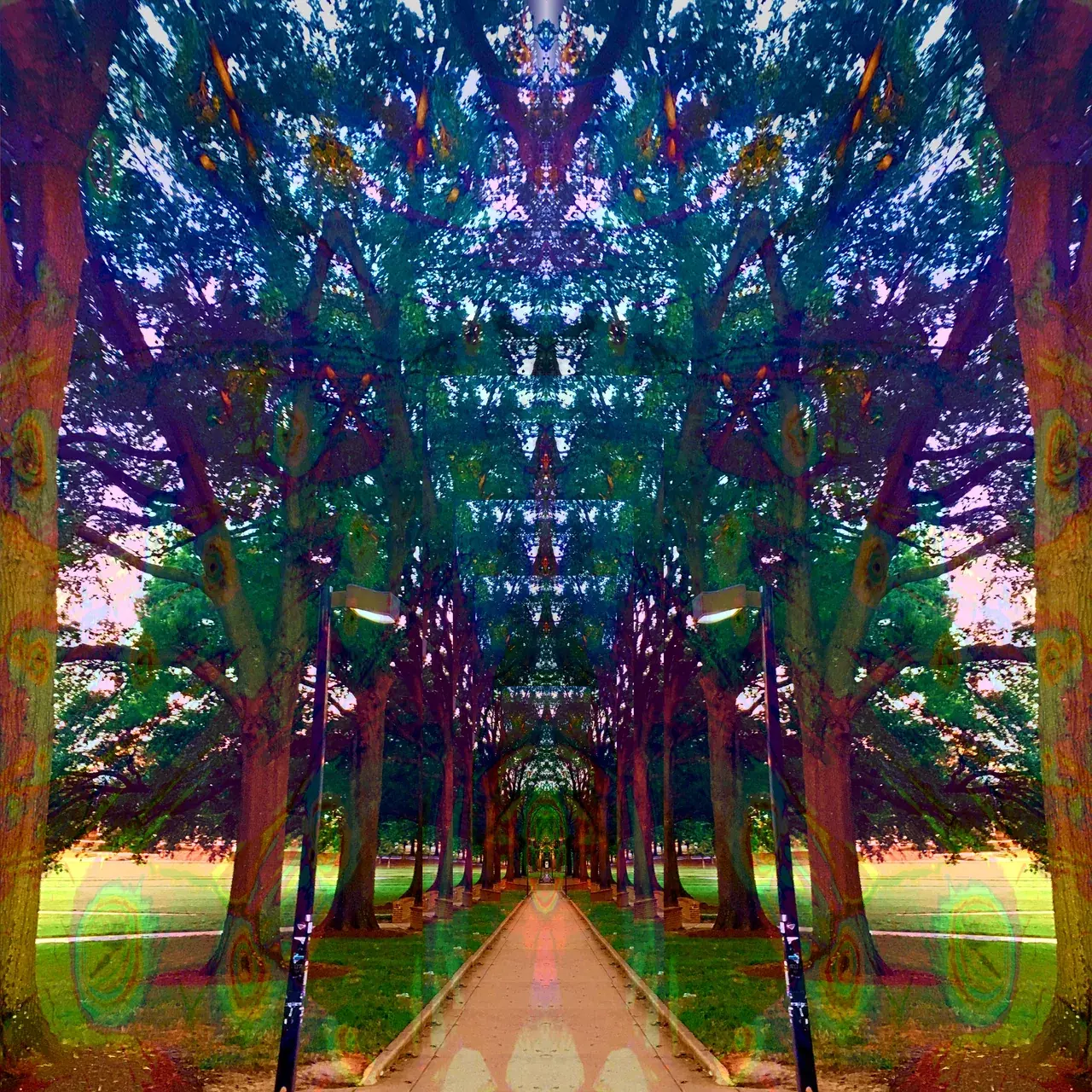 Infinite tree corridor (300ug LSD plus racetam stims)