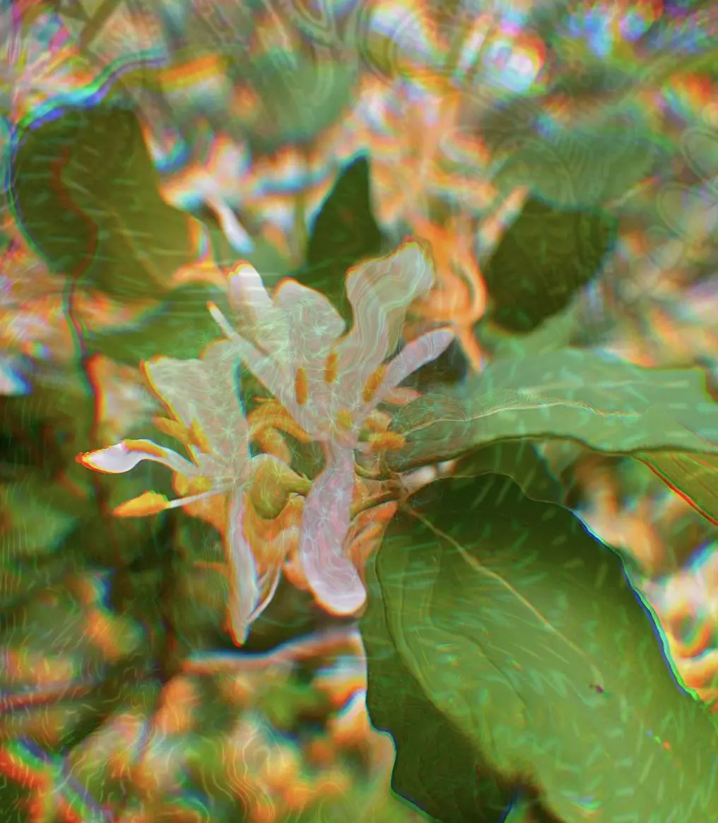 I don’t know what I took but it looked like this kinda