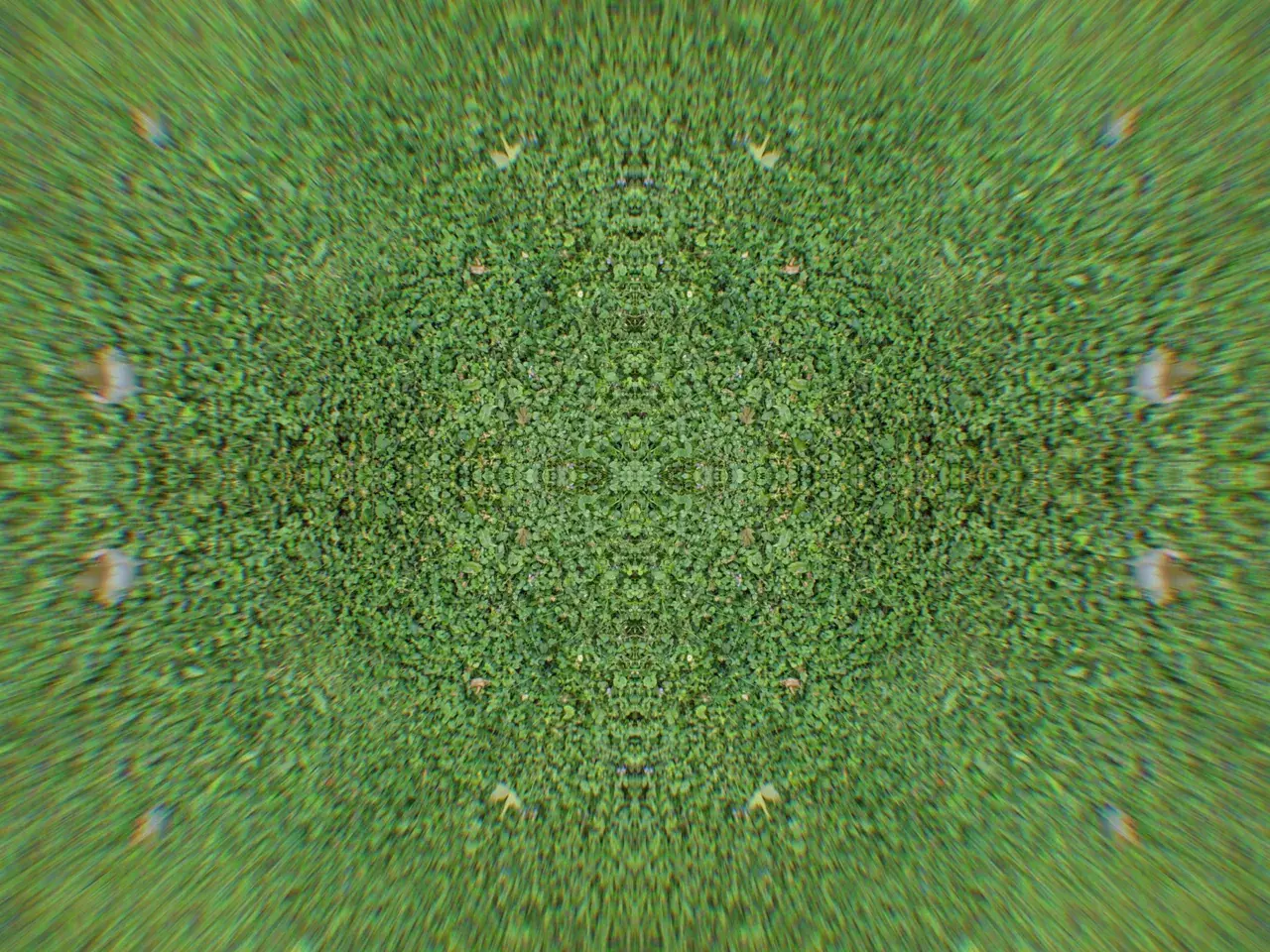 lawn geometry