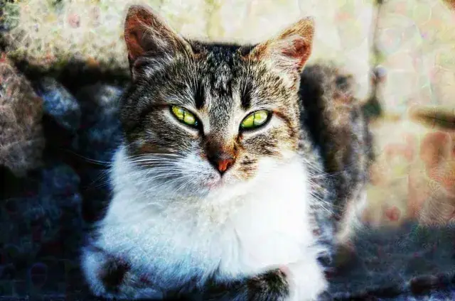 I heard you liked Lucy-fied Cat Gifs