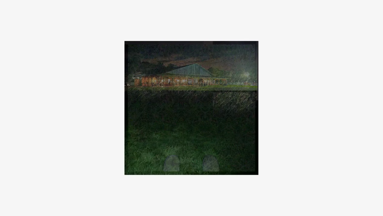 Medium high shroom dose visuals i had, some tracer like lights with the grass feeling like it goes up forever
