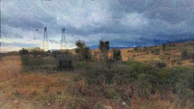 LSD and nature