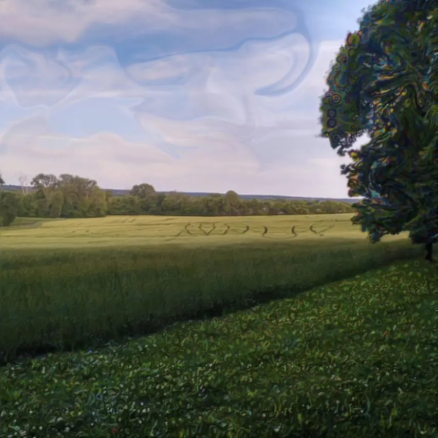LSD field
