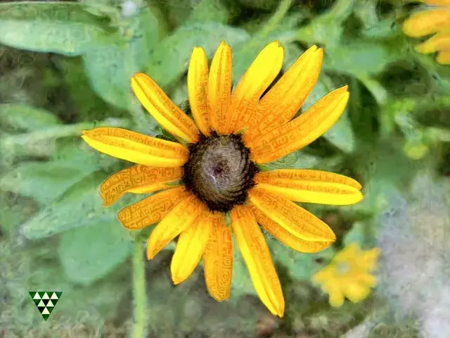 The flower is communicating I guess
