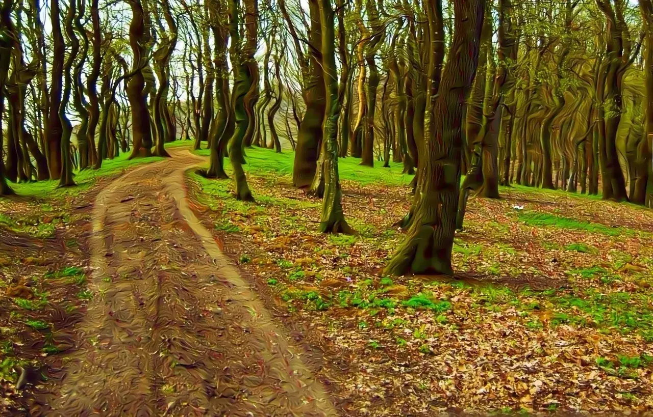 Nature trail