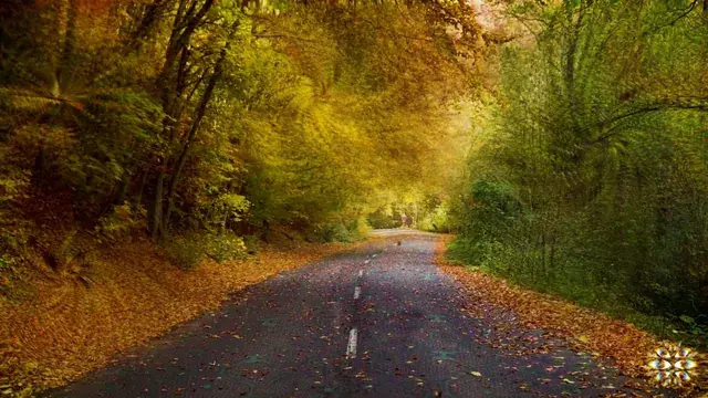 Staring at the road for too long on lsd