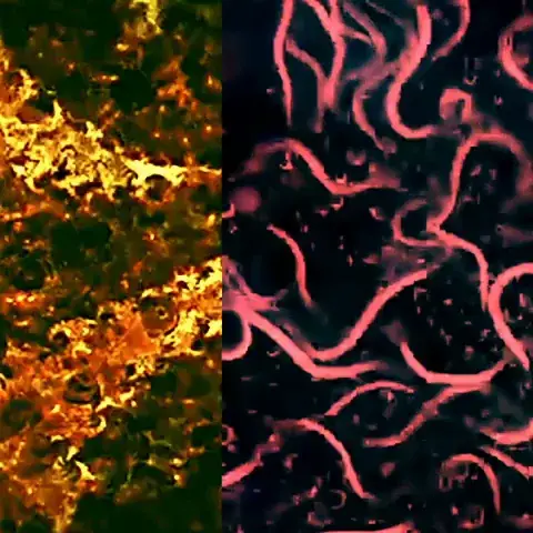 Replication of my last trip