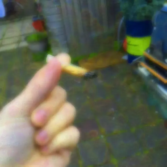 Smoking a J on LSD -- low dose